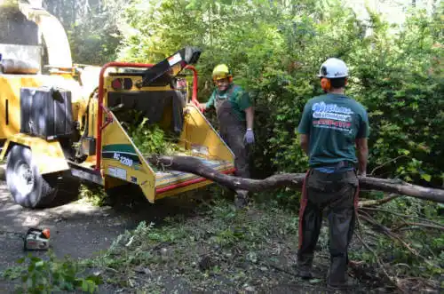 tree services North Pole